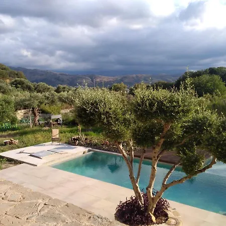 Villa Ariti In Chania Galatas (Chania)