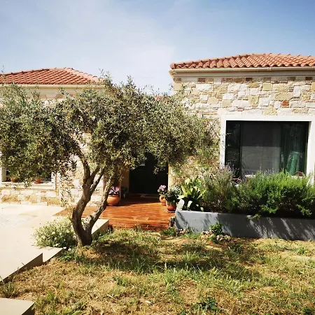 Ariti In Chania *